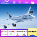 China Air Freight Forwarder Air Freight to USA /Canada/Germany/France Door to door service